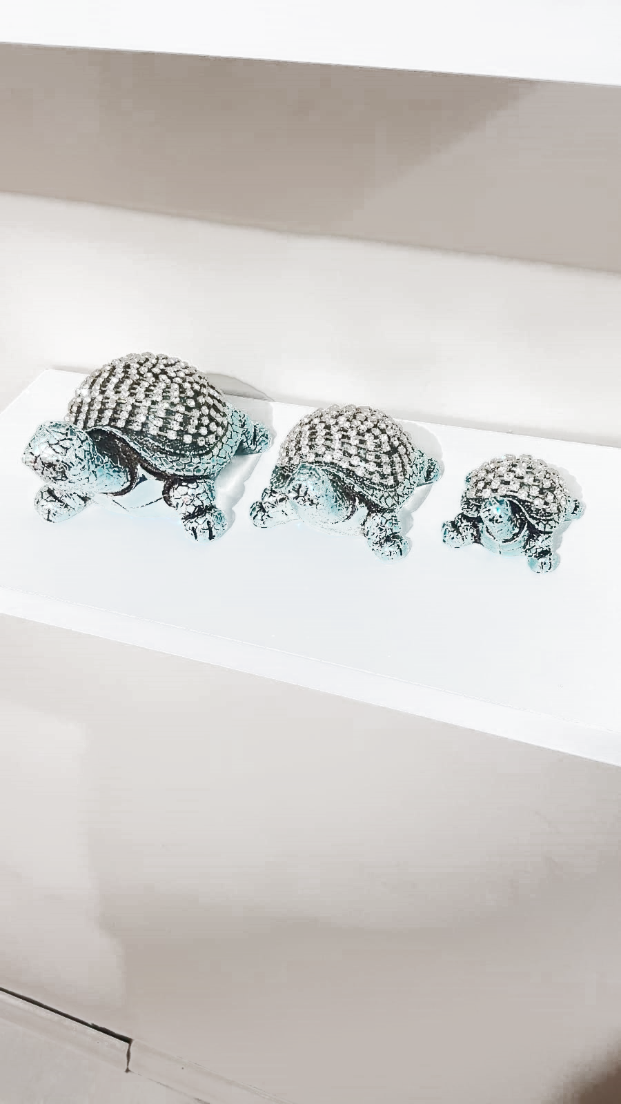 KAPLUMBAĞA METALİZE